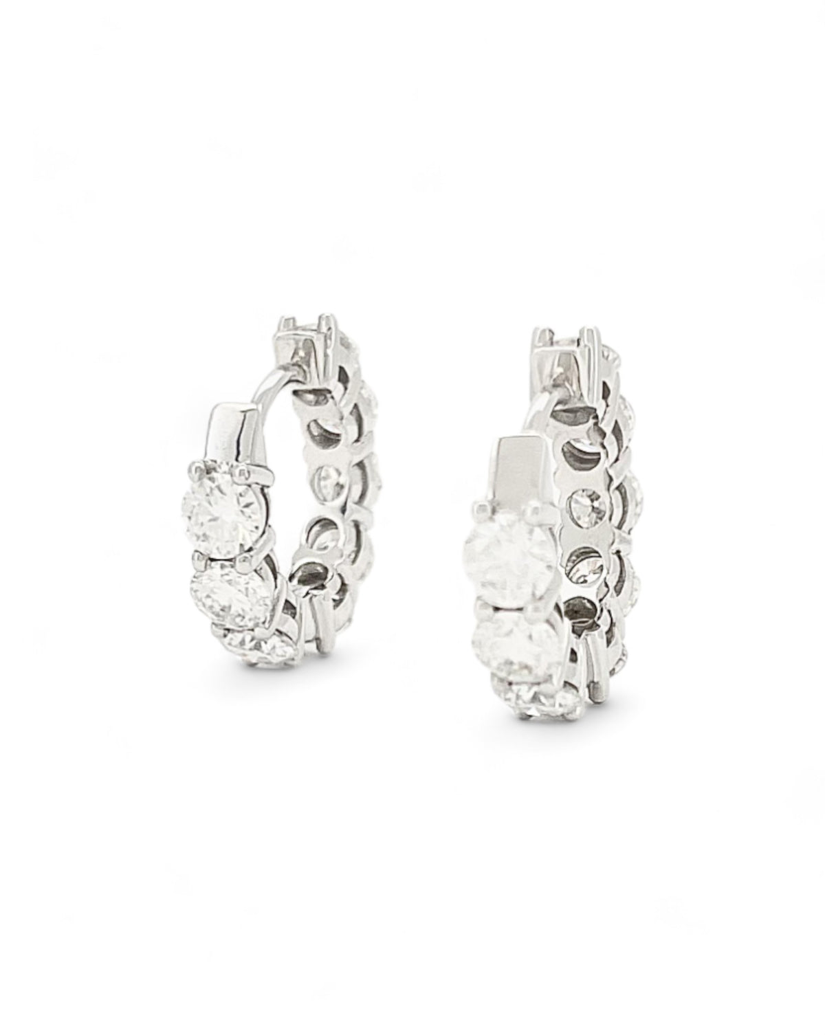 Moonlight Loop Round Moissanite Earrings