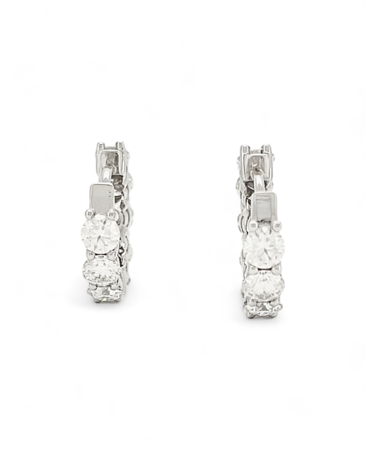Moonlight Loop Round Moissanite Earrings